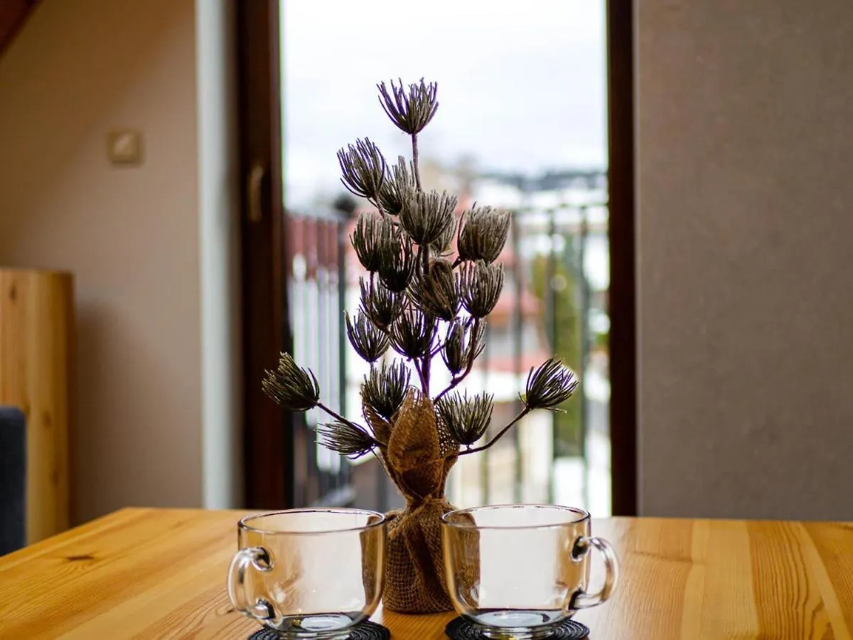 Studio Apartment - Villa Taternik Zakopane